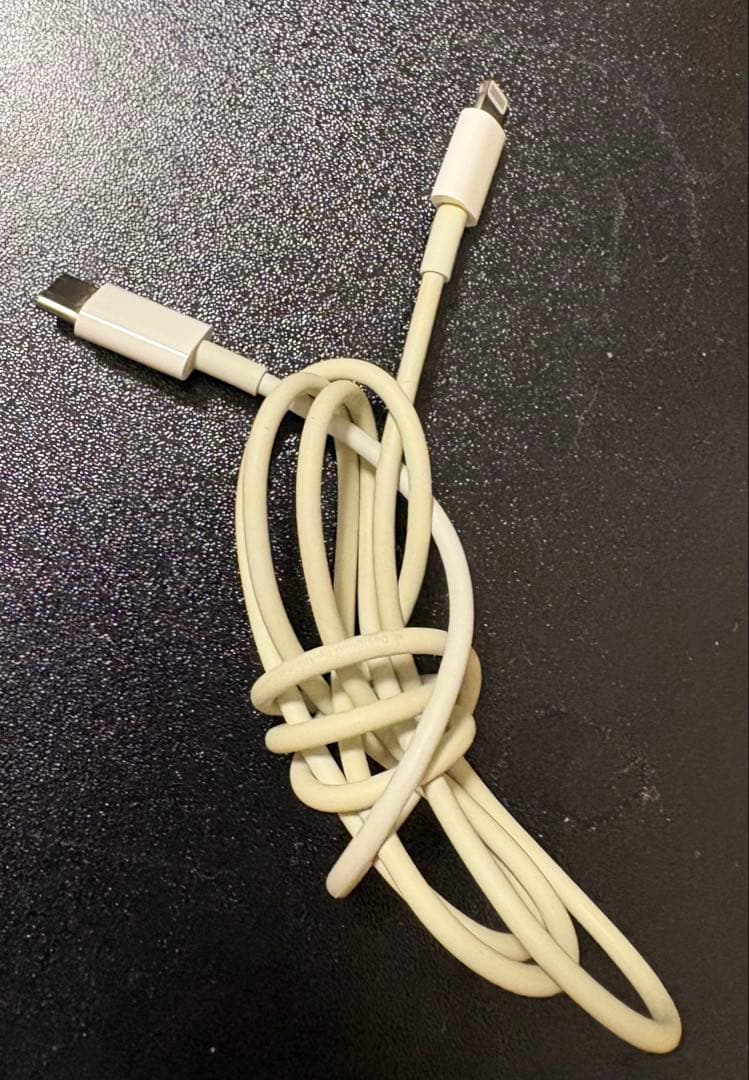 Apple iPhone SE 64GB ホワイト 本体