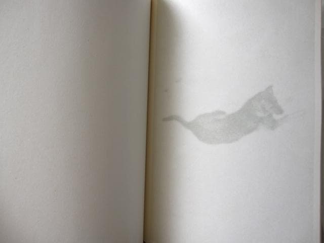 Light、Night　Ola Rindal　限定333部　直筆サイン入り