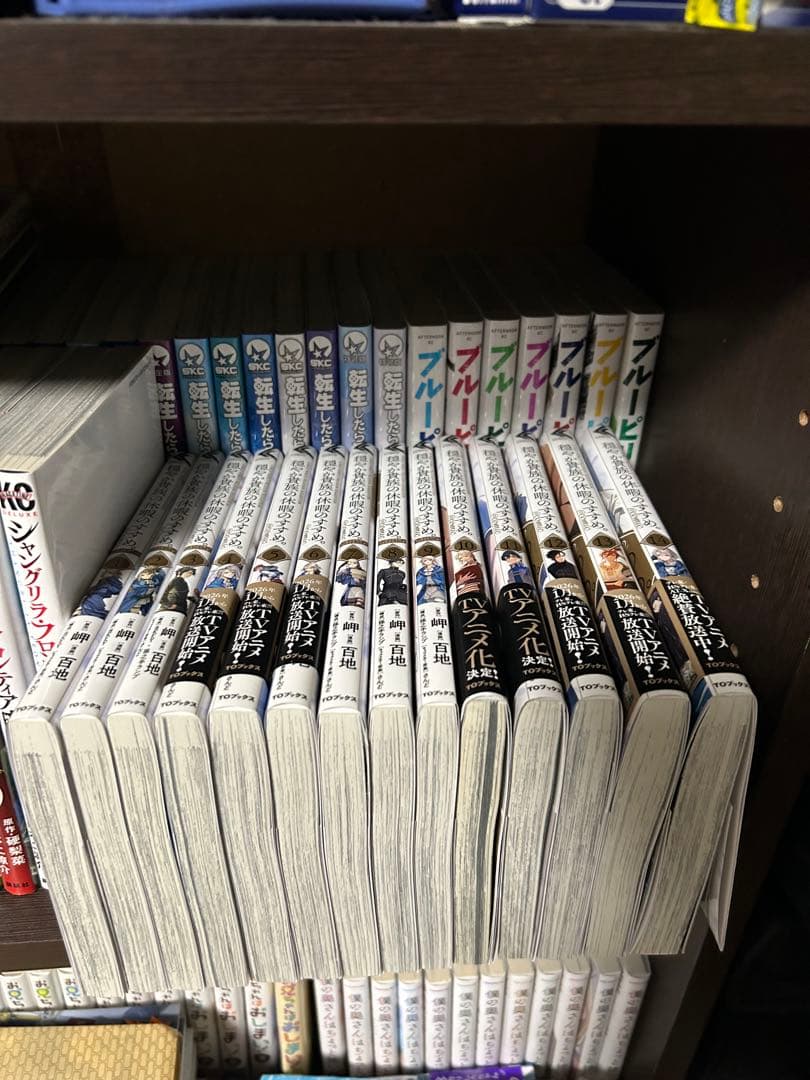 穏やか貴族の休暇のすすめ　1〜14巻