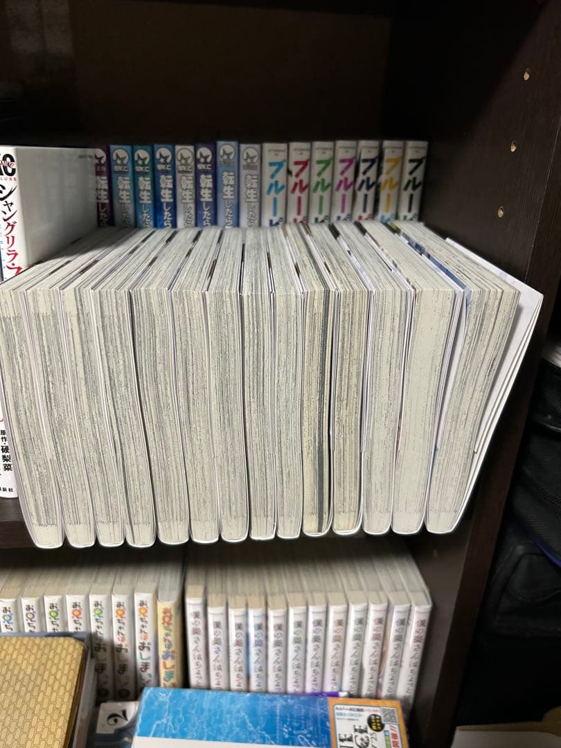 穏やか貴族の休暇のすすめ　1〜14巻