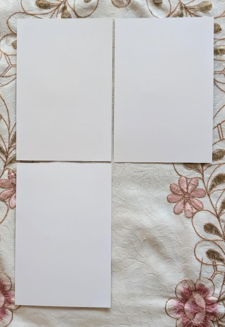 魔道祖師 日本語版 小説 アニメイト特典 収納BOX 1巻初回限定特装版 画集