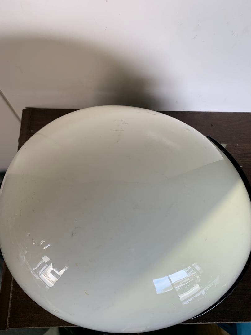 オーシャンビートル　ショーティ4 oceanbeetle Lサイズ