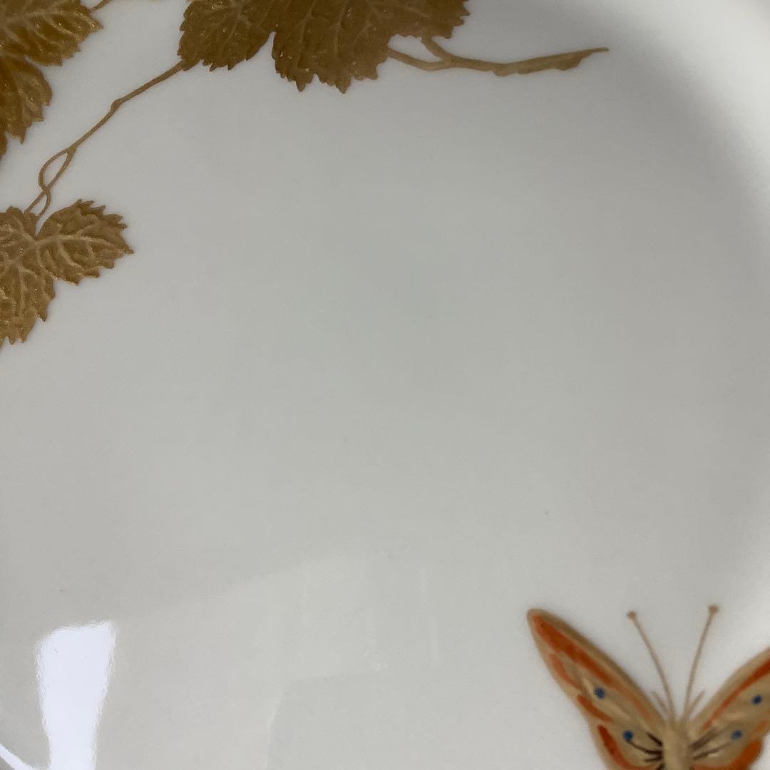 未使用／リチャードジノリ サヴォイア家 森の果実 いちご　プレート