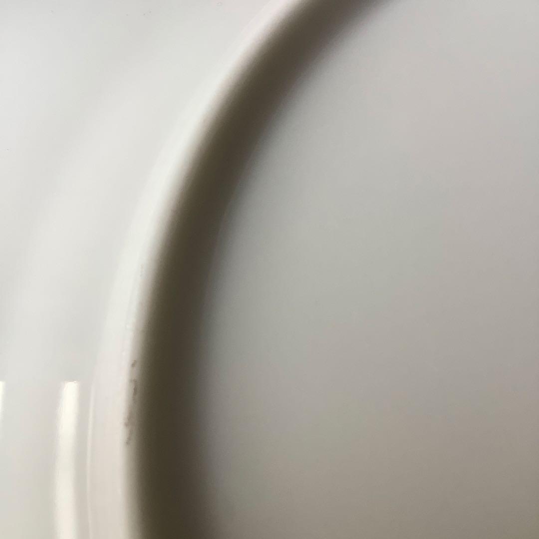 未使用／リチャードジノリ サヴォイア家 森の果実 いちご　プレート