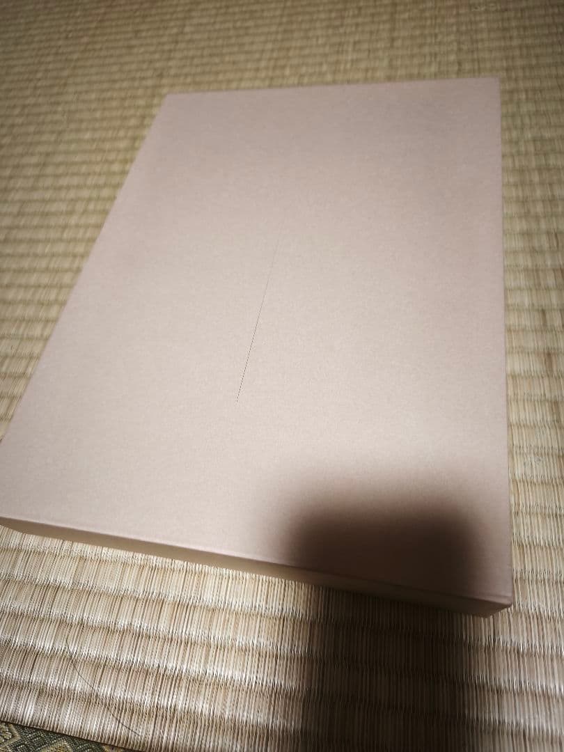 愛知の高校野球 全記録 2008