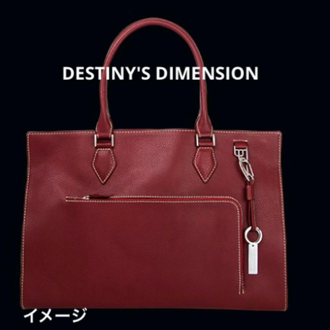 destinysdimension A4 トートバッグ