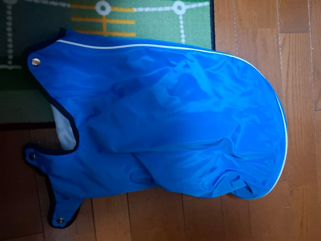 FOOTJOY キャディバッグ 青