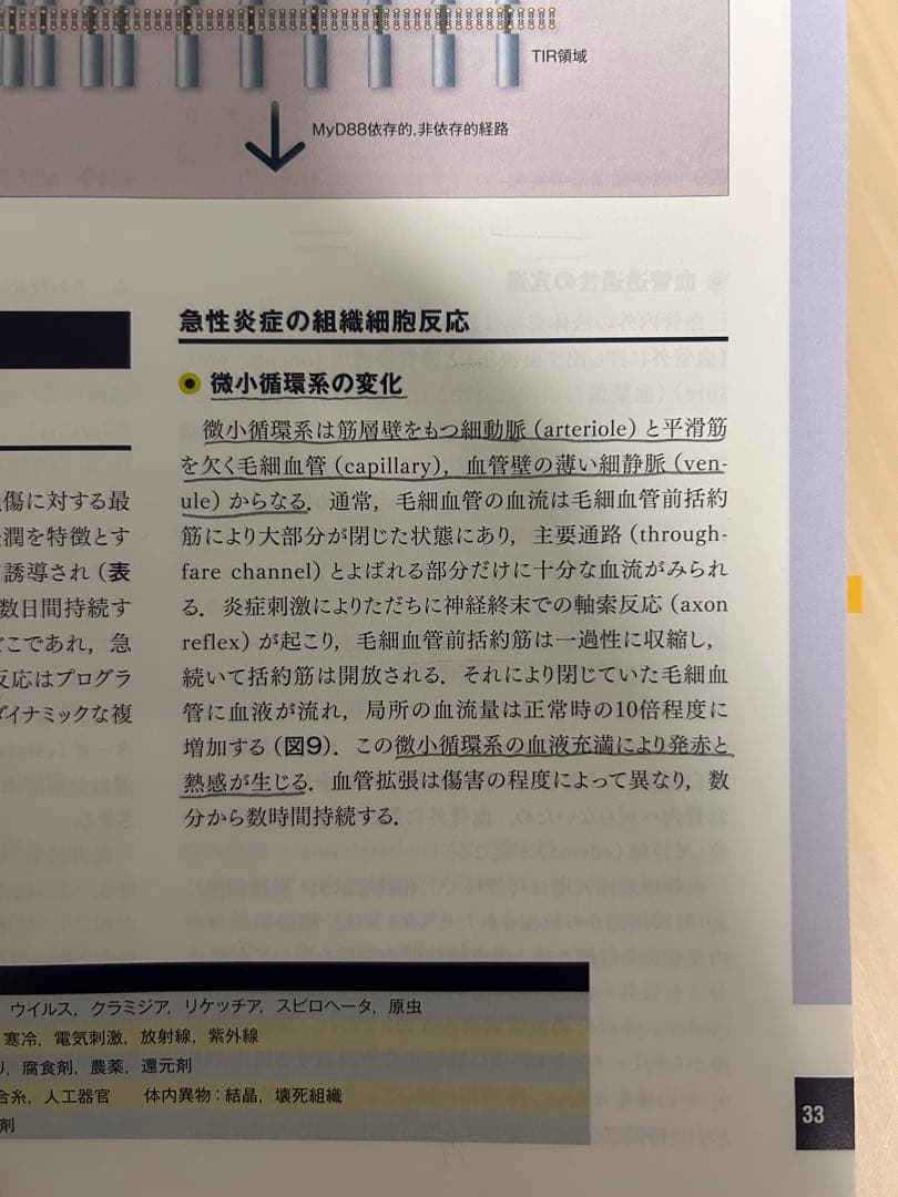 解明病理学 第3版