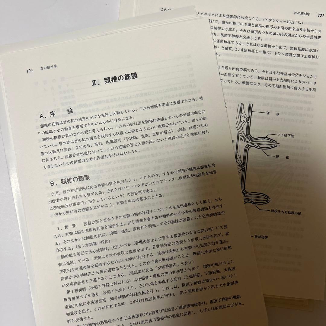 頭蓋仙骨治療 II