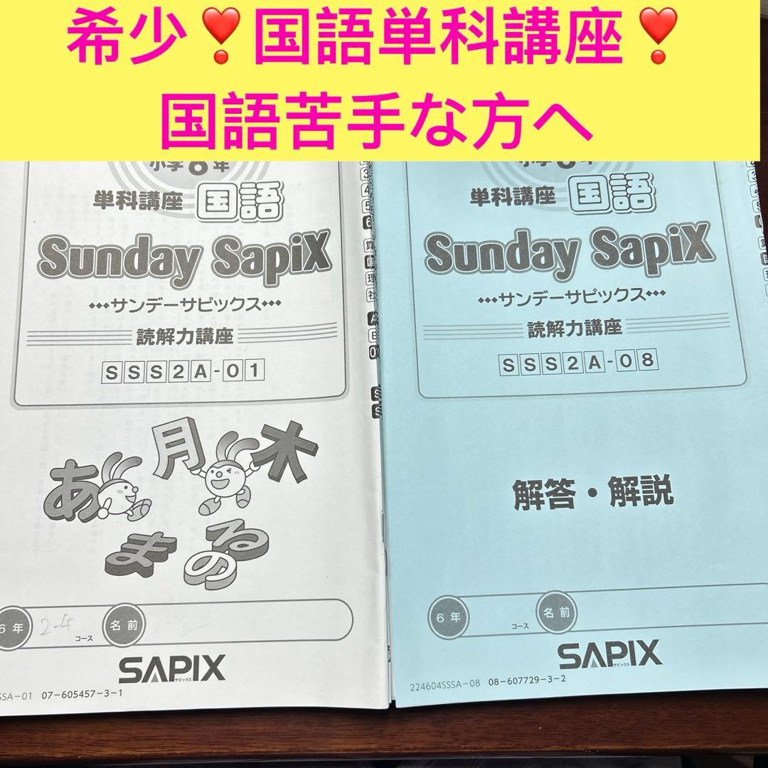 希少❣️㉔や　サピックス　Sunday SapiX 国語　単科　6年