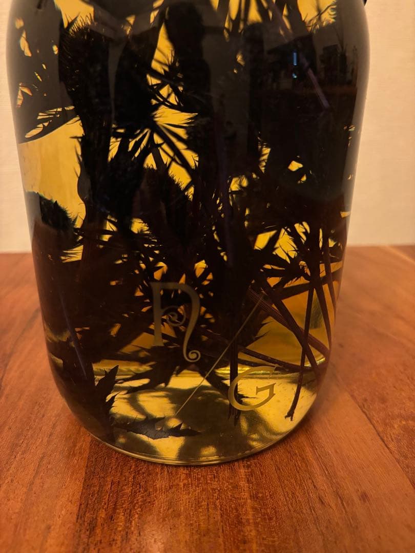 NEPETHICA ネペンテス SEALED BOTTLE PLANTS