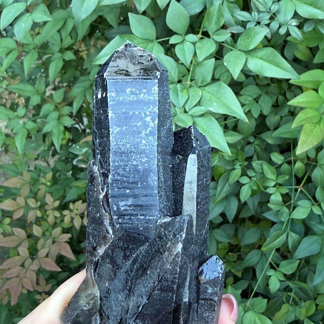 ムーミン 値下げ モリオン 黒水晶 天然無処理 原石 MY977