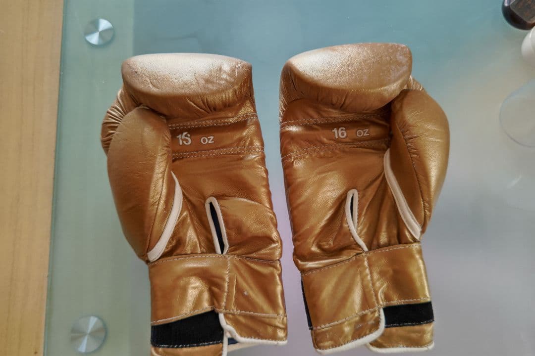 ボクシング浪速の弁慶亀田大毅実使用グローブ直筆サイン入り