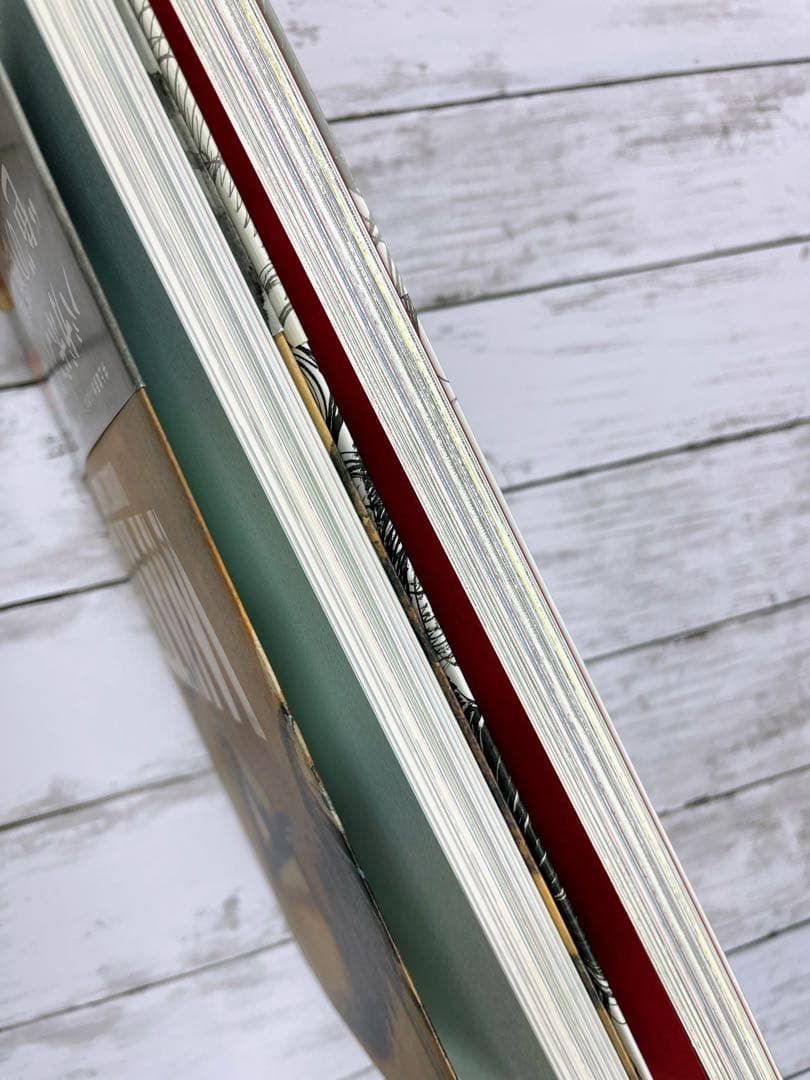 バガボンド画集 『墨』『WATER』『井上雄彦ぴあ』収納BOXセット