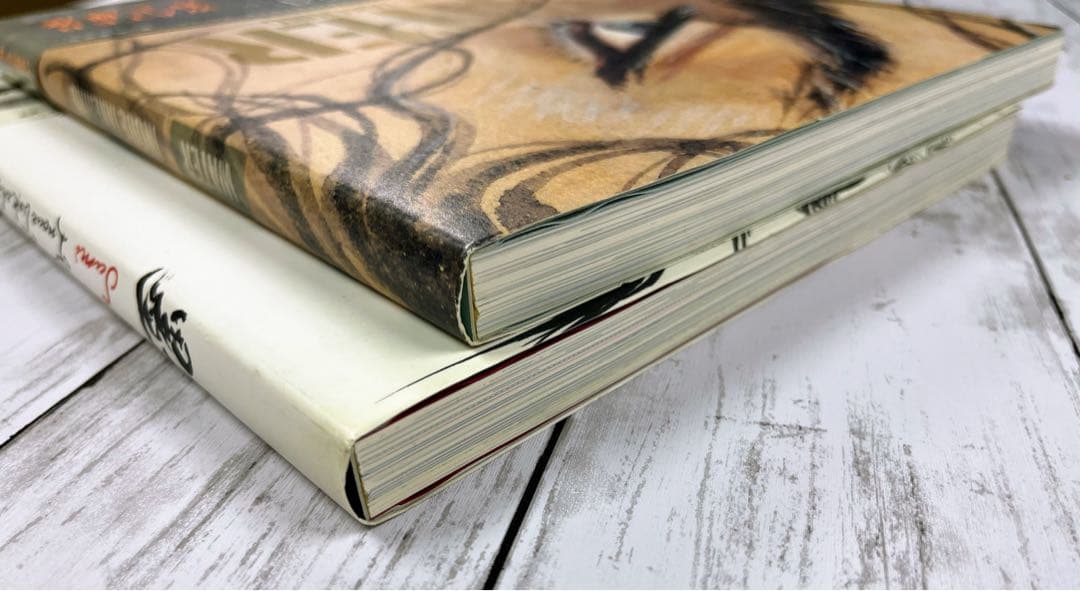 バガボンド画集 『墨』『WATER』『井上雄彦ぴあ』収納BOXセット