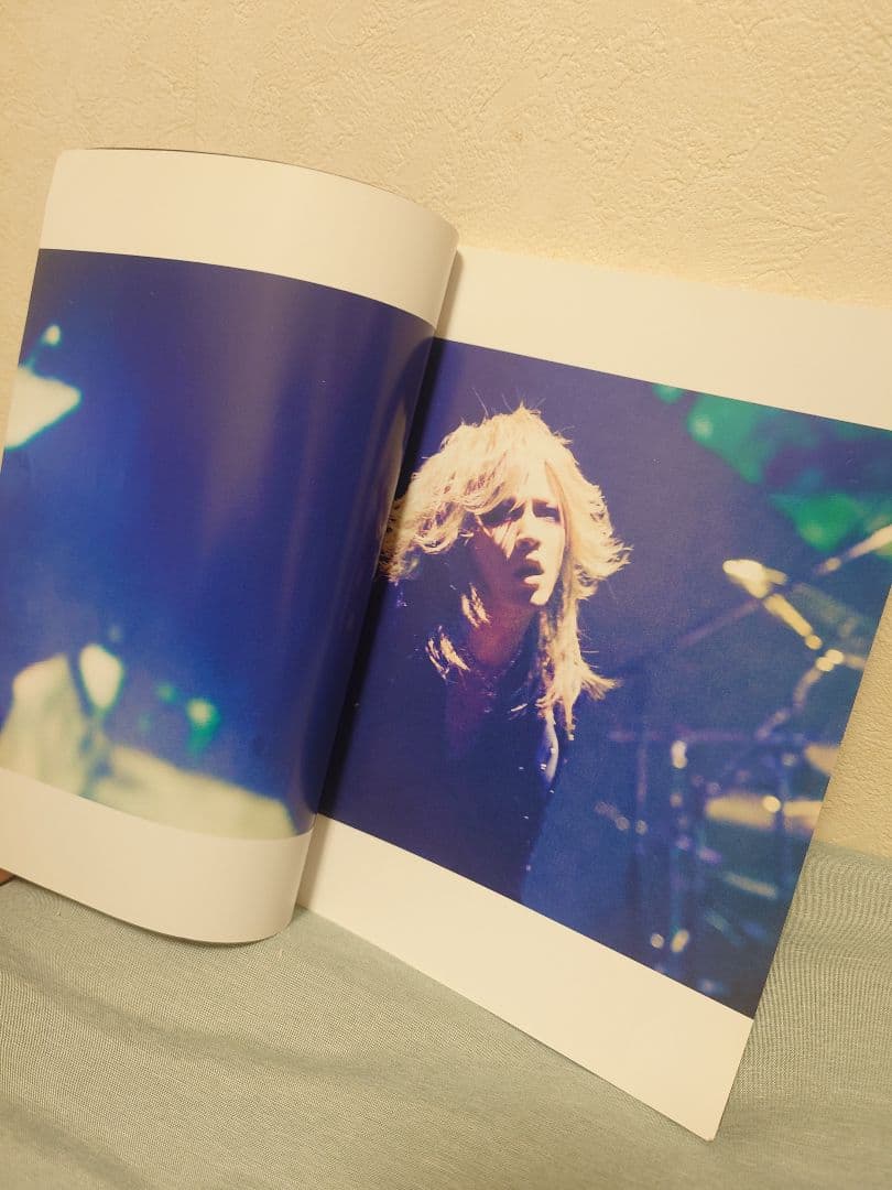 the GazettE ガゼット バンドスコア まとめ TOXIC DIM