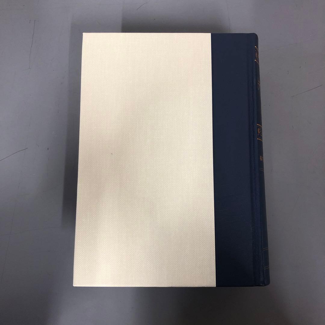 【中古本】現代デンマーク語辞典