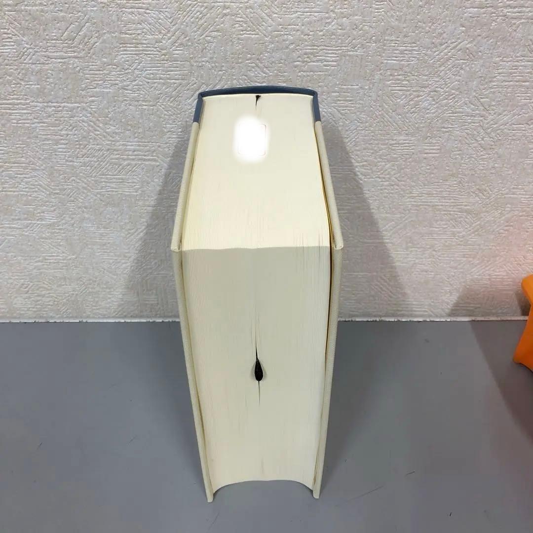 【中古本】現代デンマーク語辞典