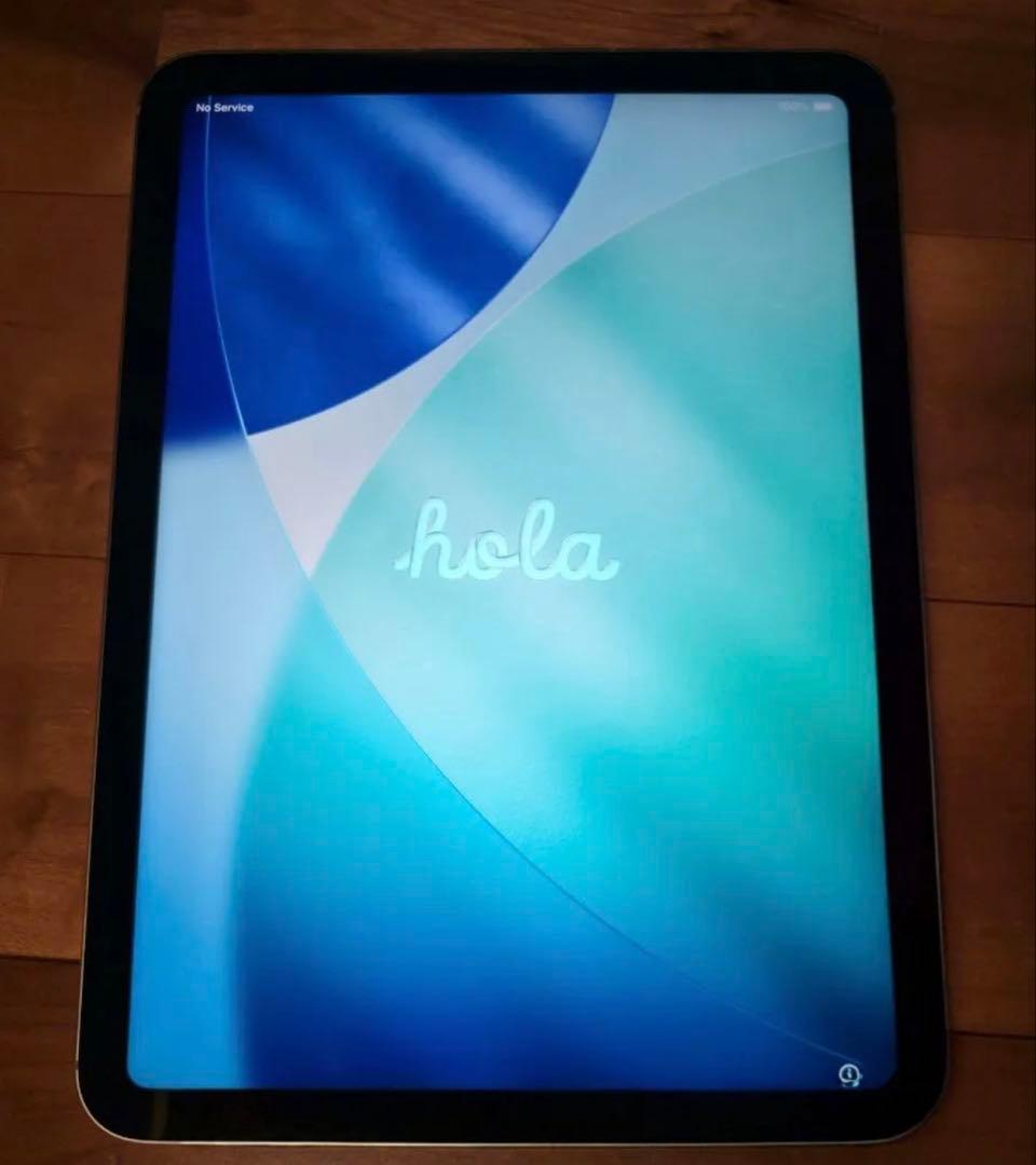 iPad (第10世代) Wi-Fi + Cellular 64GB