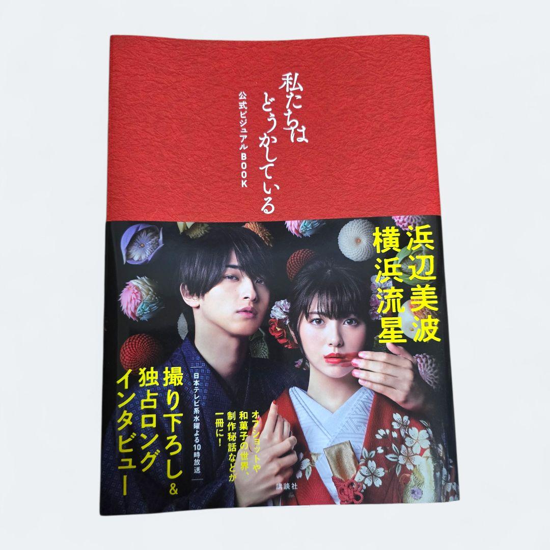 【新品未開封】私たちはどうかしている 公式ビジュアルDVD BOX セット