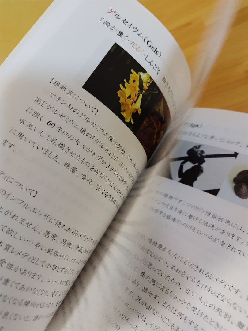 クラシカルホメオパシーのRECIPE、ART、ALLEN、VIDA４冊セット