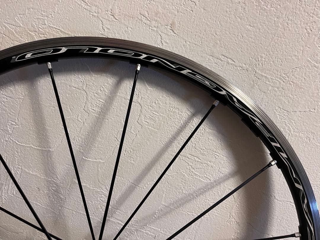 ワカちゃん　Campagnplo シャマルウルトラ