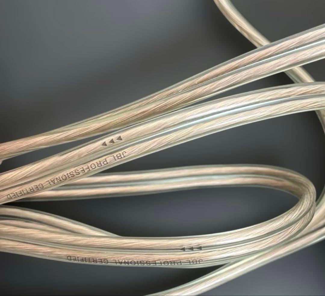 訳あり　JBL プロフェッショナル 104-BT-Y3 &限定ケーブル