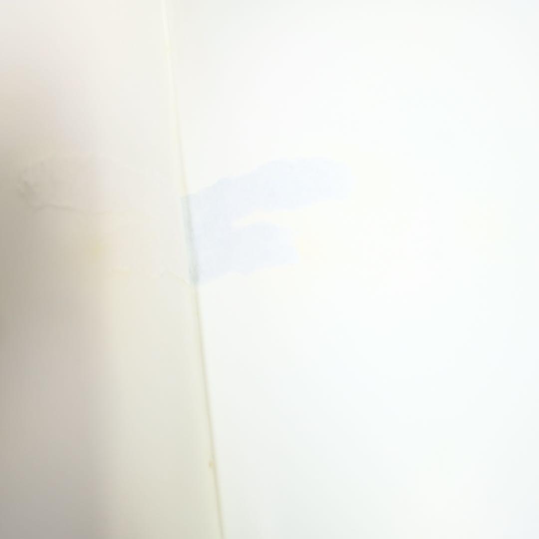 THE LINES OF MY HAND ROBERT FRANK 洋書　写真集