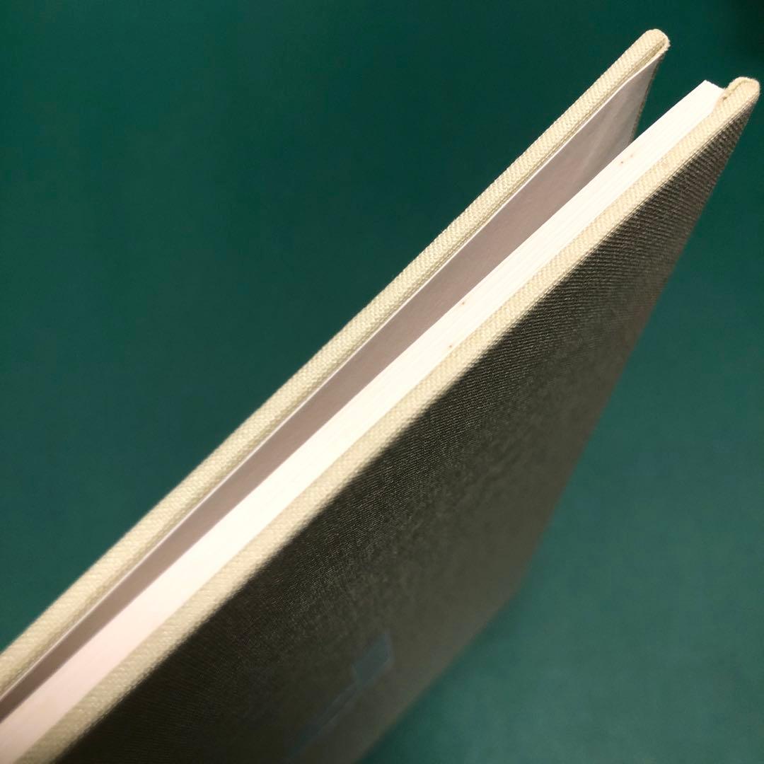 bird by RONI HORN ロニ・ホーン作品集