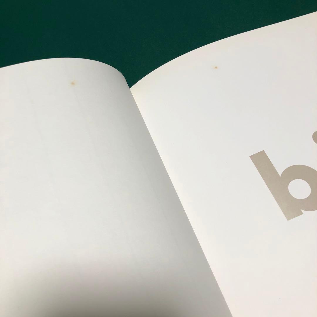 bird by RONI HORN ロニ・ホーン作品集