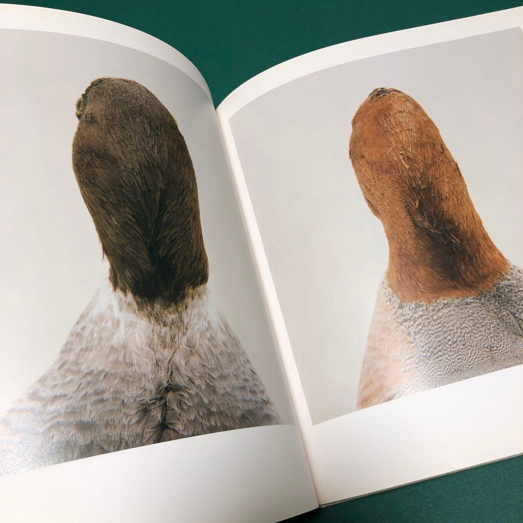 bird by RONI HORN ロニ・ホーン作品集