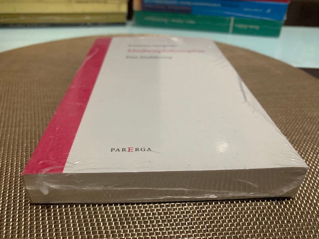 洋書 Reinhard Margreiter Medienphilosophie