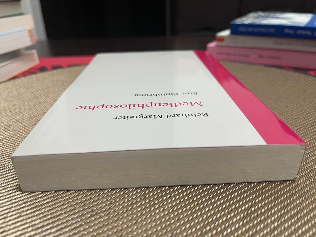 洋書 Reinhard Margreiter Medienphilosophie