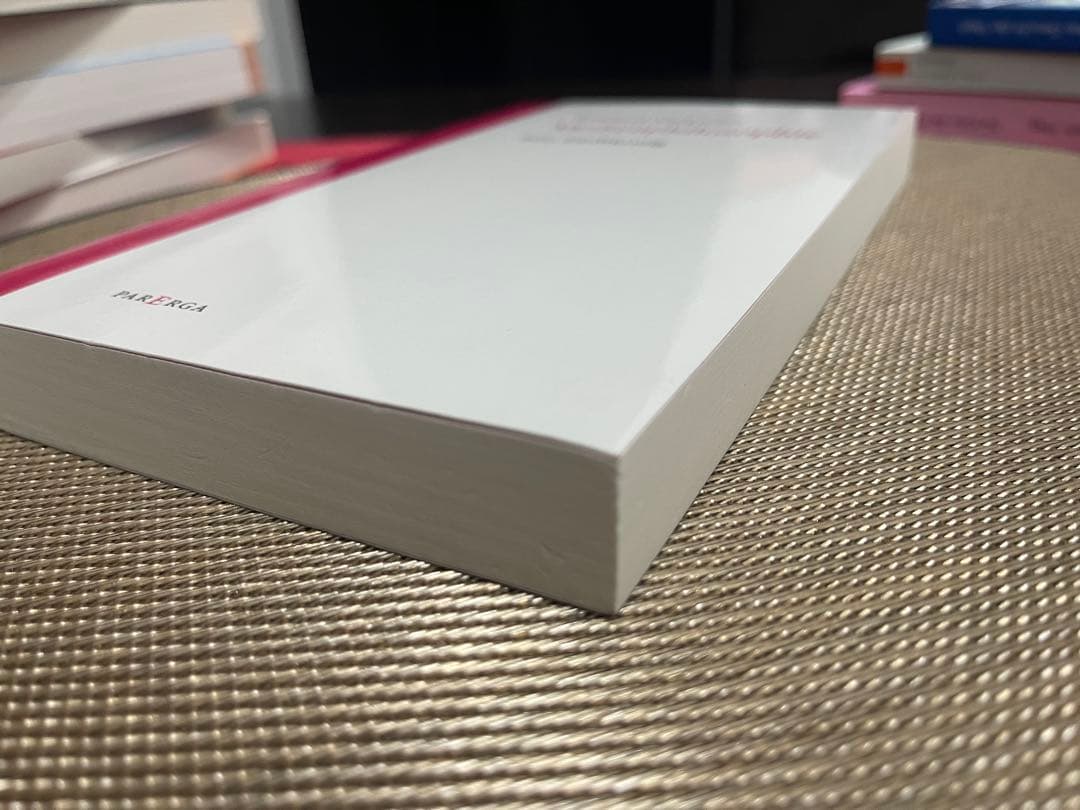 洋書 Reinhard Margreiter Medienphilosophie