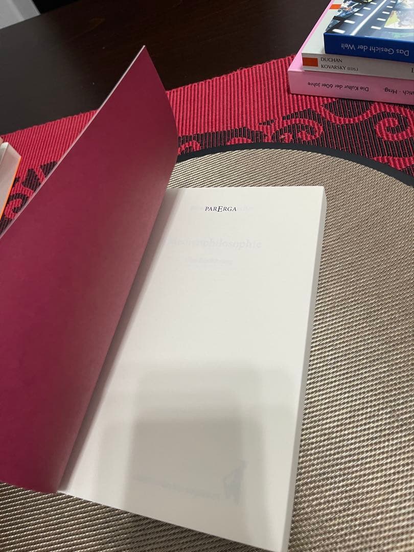 洋書 Reinhard Margreiter Medienphilosophie