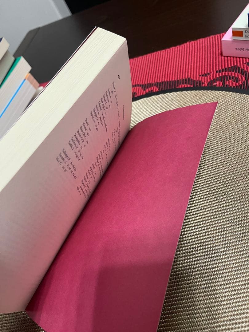 洋書 Reinhard Margreiter Medienphilosophie