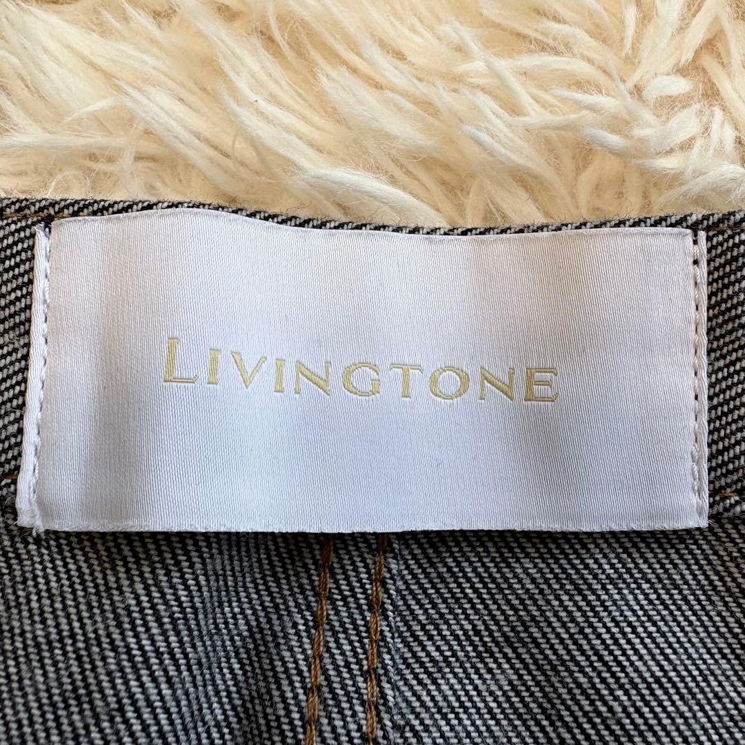 美品 2023✨LIVINGTONE CITYSHOP別注 FINTAN