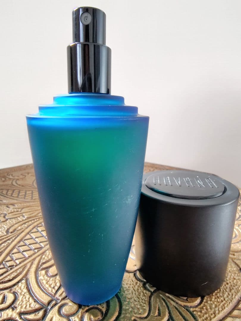 ねこ　ARAMIS　アラミス　ハバナ　100ml　オードトワレ