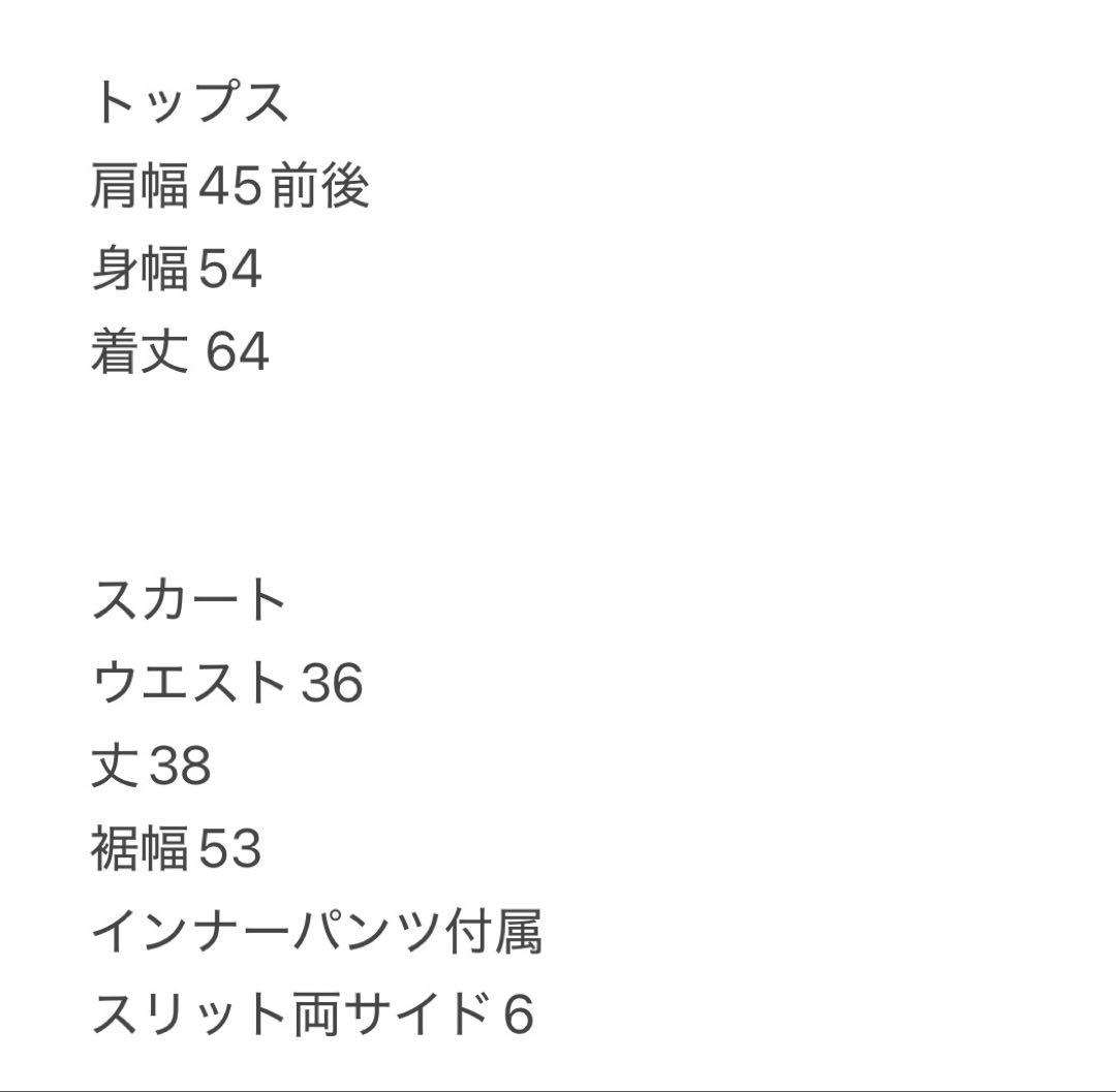 裏起毛パーカー　ウエストシェイプ　ストレッチスカート　セットアップ　春秋冬　L
