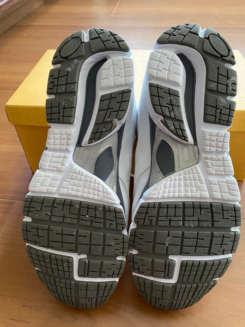 ベネシュ機能性健康靴