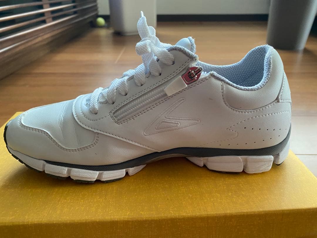 ベネシュ機能性健康靴