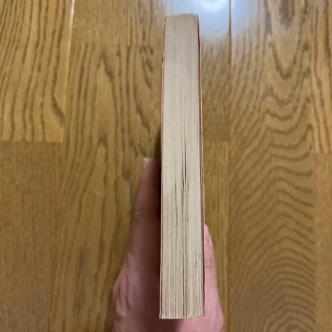 仙人瞑想法　高藤聡一郎