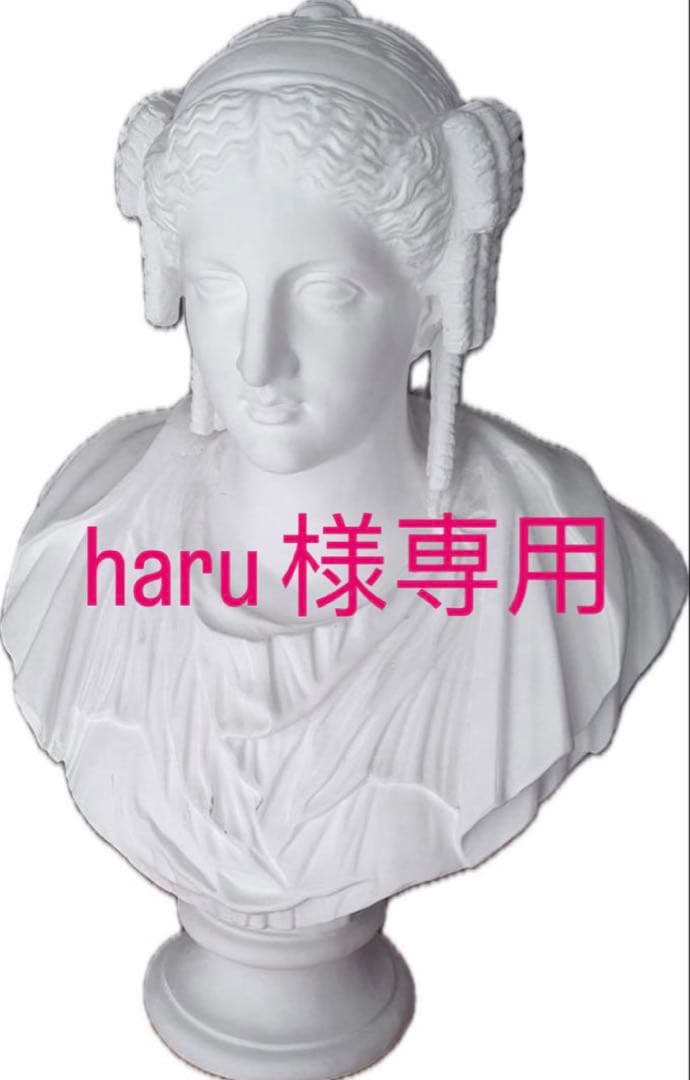 [haru ] 石膏像　パジャント　ベレニケ
