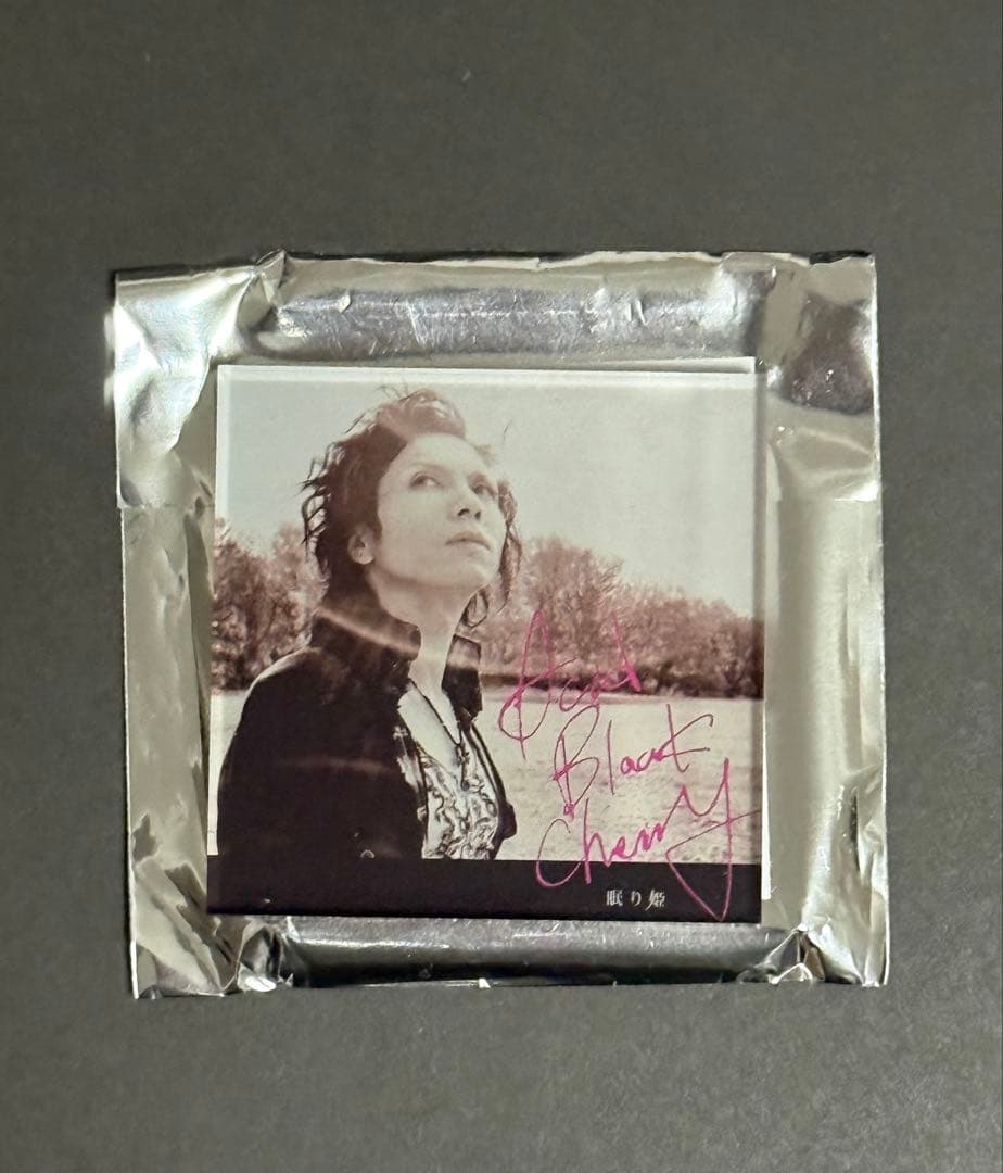 焼*ん様 Acid Black Cherry アクリルマグネット 眠り姫 シーク