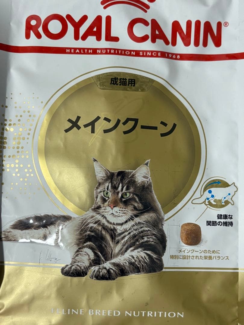  CANIN メインクーン 成猫用 ドライフード　2kg×4袋