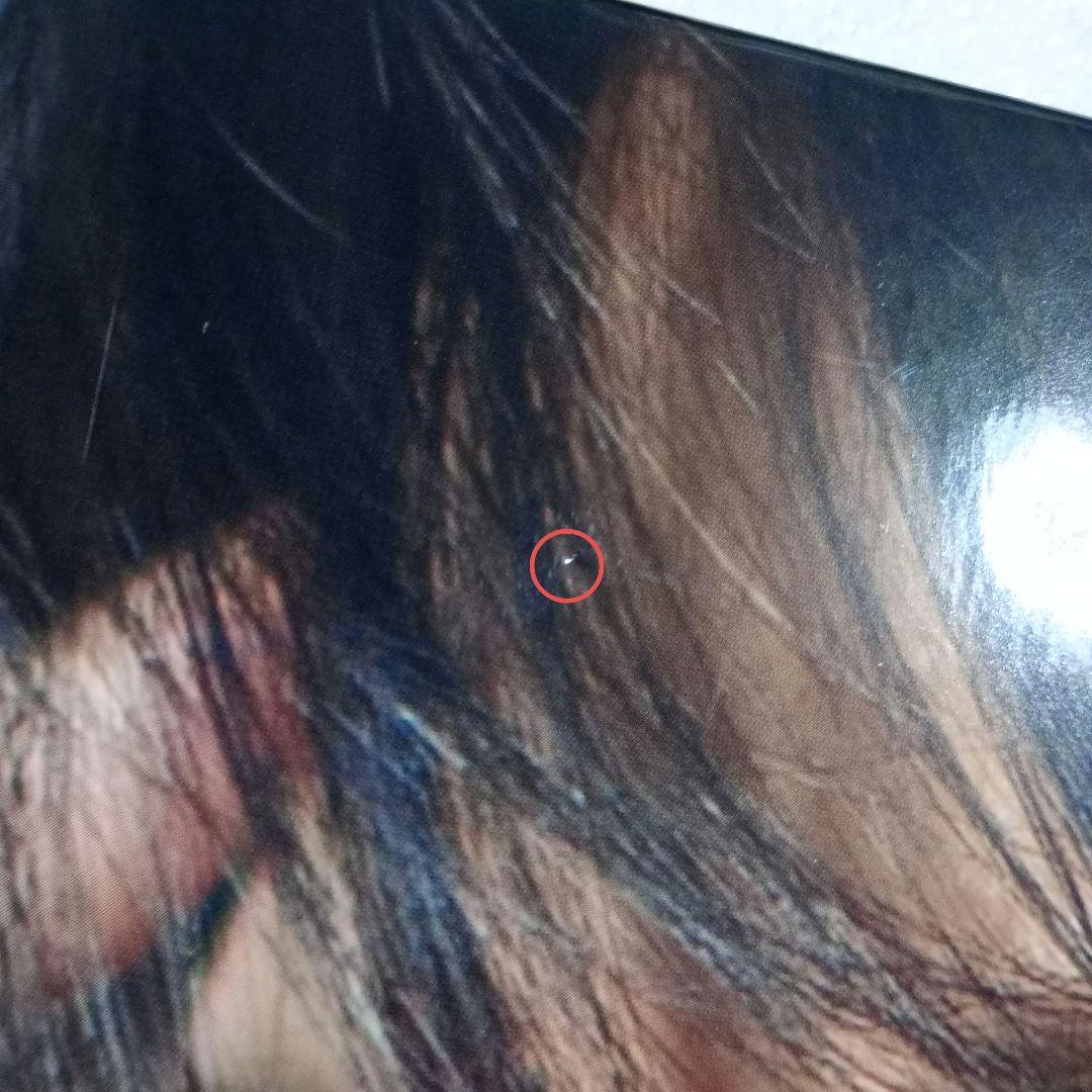 及川光博 20-TWENTY- 初回限定 3CD+DVD 写真集 アクスタ