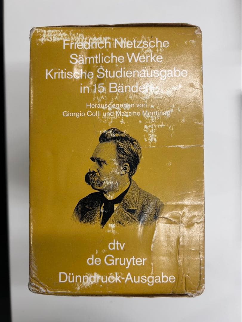 DTV「フリードリヒ・ニーチェ全集」全15冊揃セットドイツ語版/思想/古典文献/