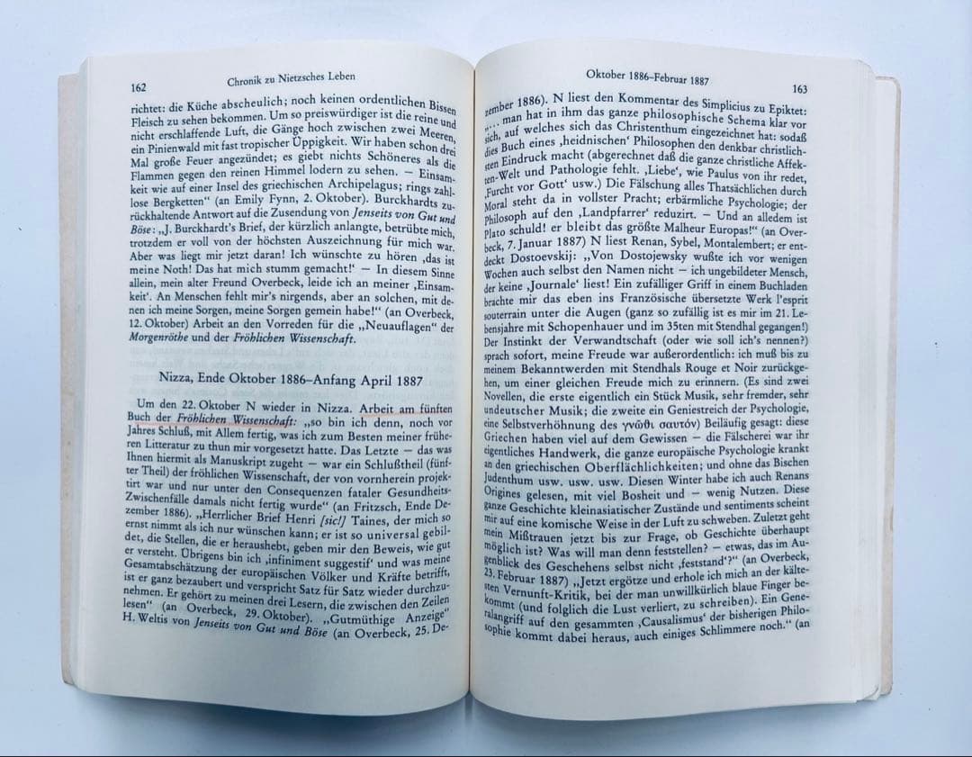 DTV「フリードリヒ・ニーチェ全集」全15冊揃セットドイツ語版/思想/古典文献/