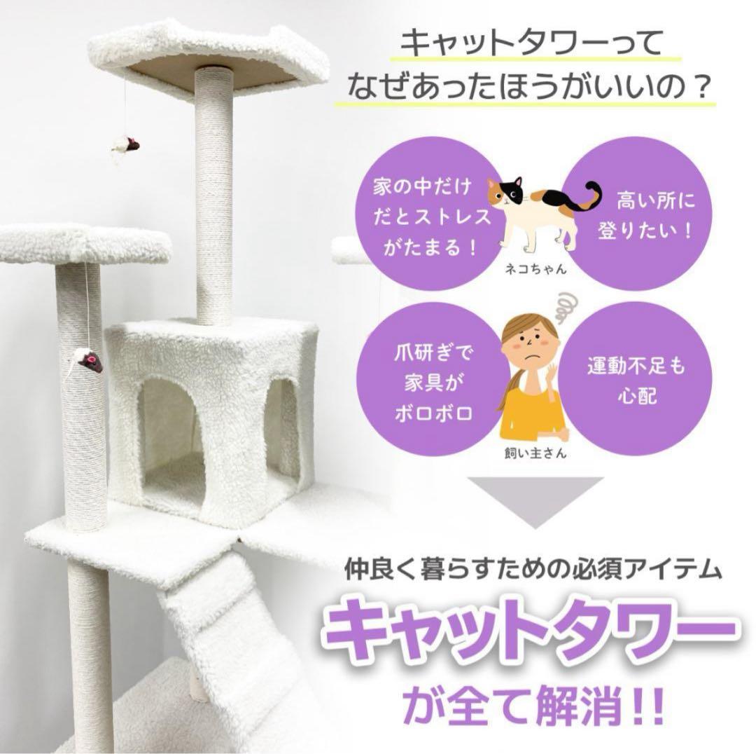 ともこさま限定