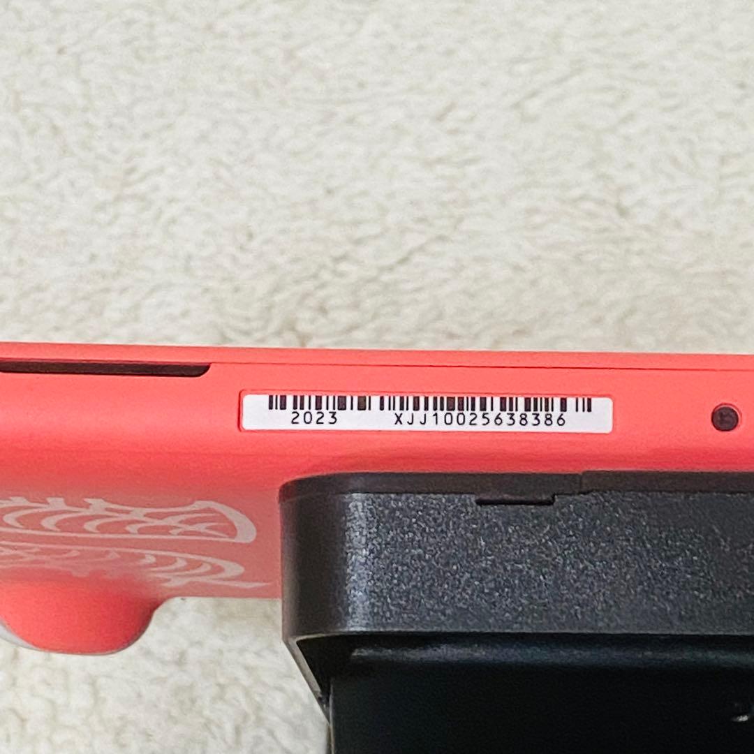 Nintendo Switch Lite しずえアロハ柄(ダウンロード版無し)